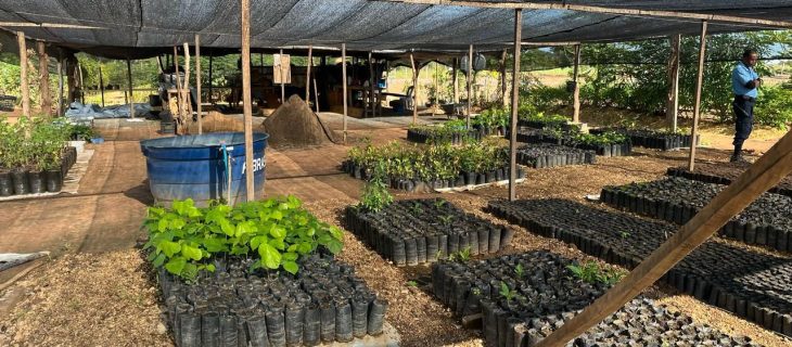 PHOTO-2025-03-23-08-45-54